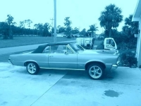 1965 Pontiac GTO for sale in Cadillac, Michigan (ID-48617)