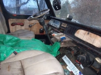 1966 Chevrolet 10 Seriers for sale in Cadillac, Michigan (ID-48083)