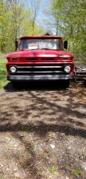 1966 Chevrolet C10 for sale in Cadillac, Michigan (ID-48435)