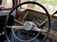 1966 Chevrolet C10 for sale in Cadillac, Michigan (ID-48435)
