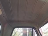 1966 Chevrolet C10 for sale in Cadillac, Michigan (ID-48435)