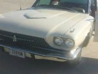 1966 Ford Thunderbird for sale in Cadillac, Michigan (ID-48085)