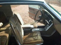 1966 Ford Thunderbird for sale in Cadillac, Michigan (ID-48170)