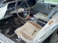 1966 Ford Thunderbird for sale in Cadillac, Michigan (ID-48331)