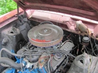 1966 Ford Ranchero for sale in Cadillac, Michigan (ID-48549)