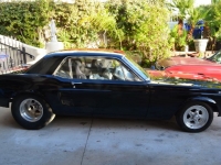1967 Ford Mustang for sale in Cadillac, Michigan (ID-48290)
