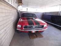 1967 Ford Mustang for sale in Cadillac, Michigan (ID-48597)