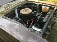 1967 Ford Mustang for sale in Cadillac, Michigan (ID-48634)