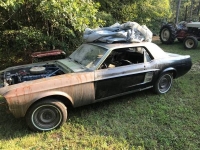 1967 Ford Mustang for sale in Cadillac, Michigan (ID-48634)