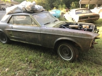 1967 Ford Mustang for sale in Cadillac, Michigan (ID-48634)