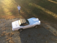 1968 Chevrolet Corvette for sale in Cadillac, Michigan (ID-1652)