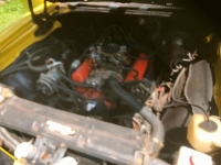 1968 Chevrolet Chevelle for sale in Cadillac, Michigan (ID-48760)