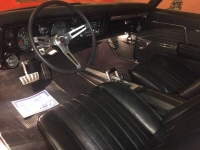 1969 Chevrolet Chevelle for sale in Cadillac, Michigan (ID-48178)