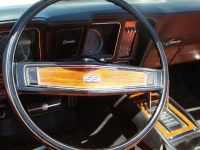 1969 Chevrolet Camaro for sale in Cadillac, Michigan (ID-48895)