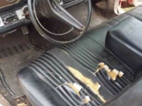 1969 Ford Thunderbird for sale in Cadillac, Michigan (ID-48749)