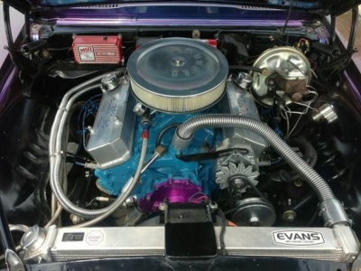 1969 Pontiac Firebird for sale in Cadillac, Michigan (ID-1498)