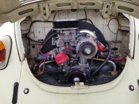 1969 Volkswagen Beetle for sale in Cadillac, Michigan (ID-48763)
