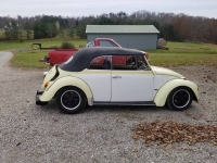 1969 Volkswagen Beetle for sale in Cadillac, Michigan (ID-48763)