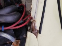 1969 Volkswagen Beetle for sale in Cadillac, Michigan (ID-48763)