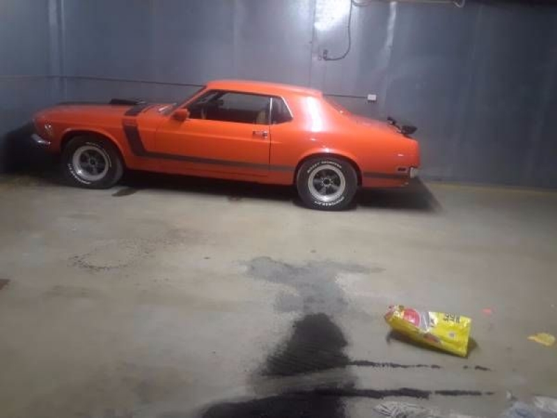 1970 Ford Mustang for sale in Cadillac, Michigan (ID-48685)