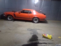 1970 Ford Mustang for sale in Cadillac, Michigan (ID-48685)