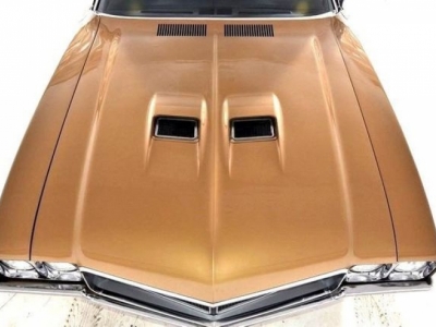 1970 Buick Gran Sport for sale in Riverhead, New York (ID-1839)