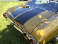 1971 Chevrolet Chevelle for sale in Cadillac, Michigan (ID-48414)