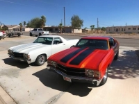 1971 Chevrolet Chevelle for sale in Cadillac, Michigan (ID-48545)