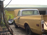 1971 Chevrolet Pickup for sale in Cadillac, Michigan (ID-48830)