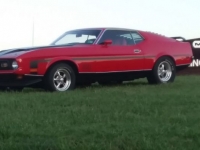 1971 Ford Mustang for sale in Cadillac, Michigan (ID-48510)