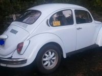 1971 Volkswagen Beetle for sale in Cadillac, Michigan (ID-1779)