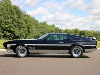 1971 Ford Mustang for sale in Riverhead, New York (ID-1474)