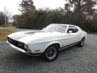 1972 Ford Mustang for sale in Cadillac, Michigan (ID-1815)