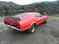 1972 Ford Mustang for sale in Cadillac, Michigan (ID-48266)
