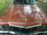 1973 Ford Ranchero for sale in Cadillac, Michigan (ID-48787)