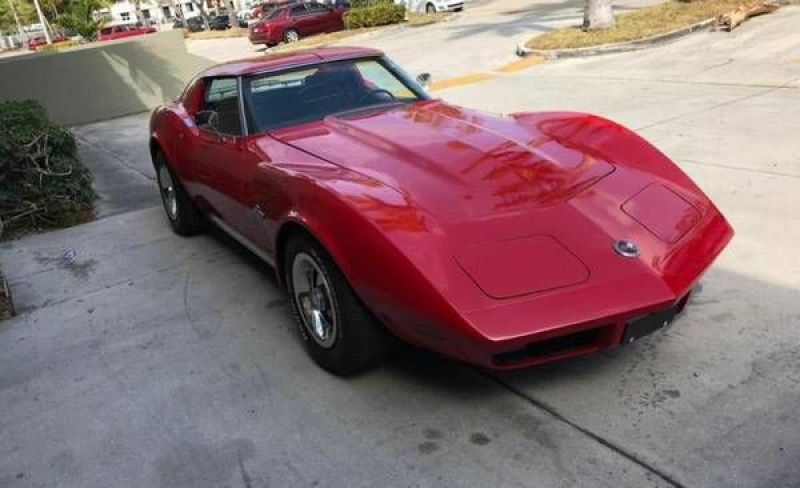 1974 Chevrolet Corvette for sale in Cadillac, Michigan (ID-48480)