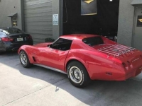 1974 Chevrolet Corvette for sale in Cadillac, Michigan (ID-48480)