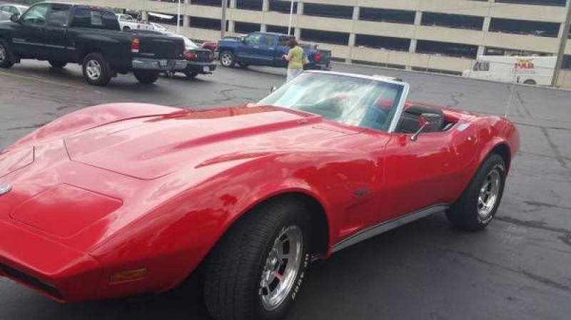 1974 Chevrolet Corvette for sale in Cadillac, Michigan (ID-48520)