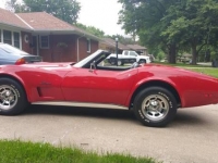 1974 Chevrolet Corvette for sale in Cadillac, Michigan (ID-48520)