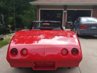 1974 Chevrolet Corvette for sale in Cadillac, Michigan (ID-48520)