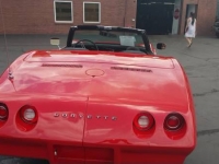1974 Chevrolet Corvette for sale in Cadillac, Michigan (ID-48520)