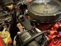 1974 Chevrolet Corvette for sale in Cadillac, Michigan (ID-48520)