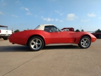 1974 Chevrolet Corvette for sale in Cadillac, Michigan (ID-48671)