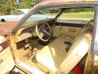 1974 Dodge Dart for sale in Cadillac, Michigan (ID-48700)