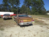 1974 Dodge Dart for sale in Cadillac, Michigan (ID-48700)