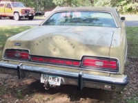 1974 Ford LTD for sale in Cadillac, Michigan (ID-1730)
