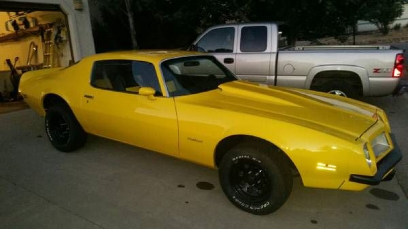 1974 Pontiac Firebird for sale in Cadillac, Michigan (ID-1568)