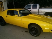 1974 Pontiac Firebird for sale in Cadillac, Michigan (ID-1568)
