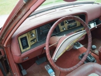 1975 AMC Pacer for sale in Cadillac, Michigan (ID-48003)