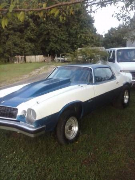 1975 Chevrolet Camaro for sale in Cadillac, Michigan (ID-48002)